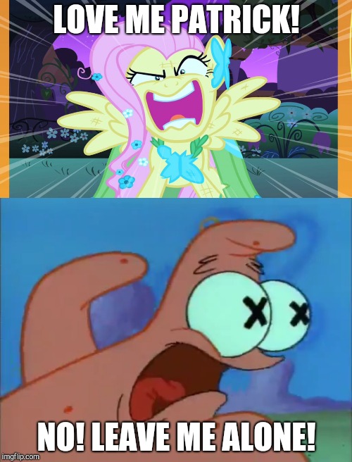 Love me Patrick | LOVE ME PATRICK! NO! LEAVE ME ALONE! | image tagged in fluttershy | made w/ Imgflip meme maker