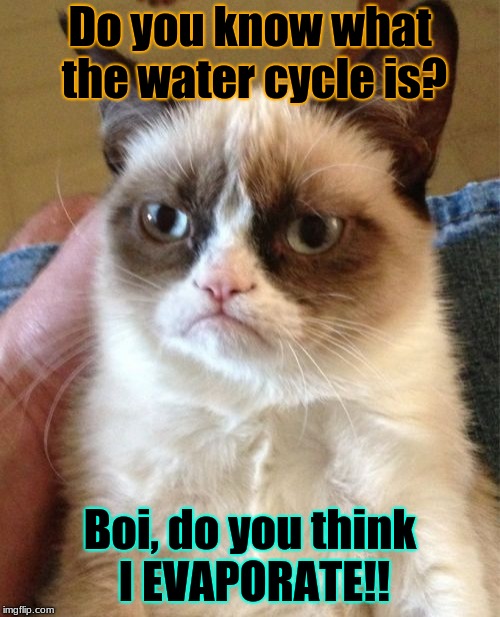 Grumpy Cat Meme | Do you know what the water cycle is? Boi, do you think I EVAPORATE!! | image tagged in memes,grumpy cat | made w/ Imgflip meme maker