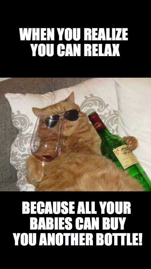 Cat wine | WHEN YOU REALIZE YOU CAN RELAX; BECAUSE ALL YOUR BABIES CAN BUY YOU ANOTHER BOTTLE! | image tagged in cat wine | made w/ Imgflip meme maker