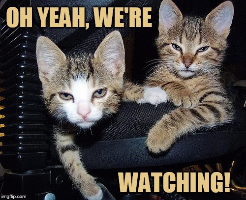 OH YEAH, WE'RE WATCHING! | made w/ Imgflip meme maker