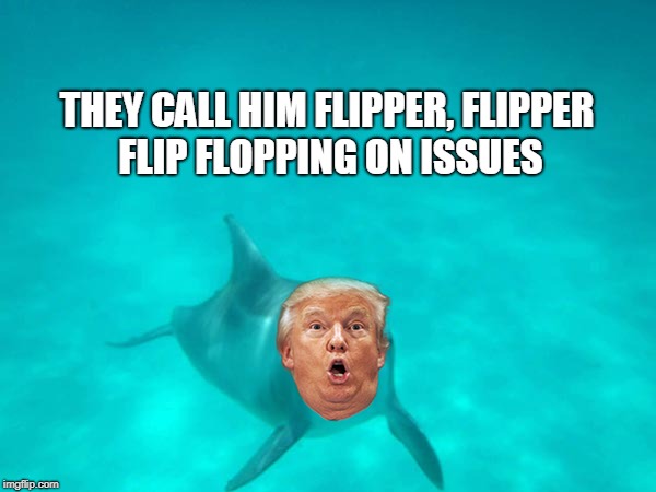 THEY CALL HIM FLIPPER, FLIPPER FLIP FLOPPING ON ISSUES | made w/ Imgflip meme maker