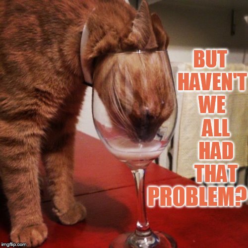 BUT HAVEN'T WE   ALL   HAD   THAT PROBLEM? | made w/ Imgflip meme maker