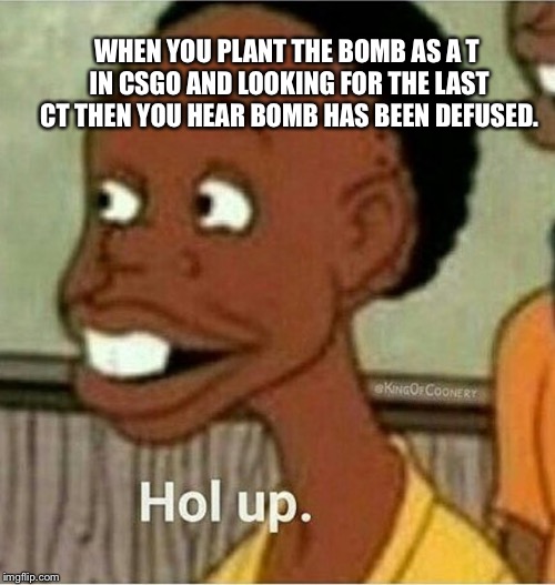 hol up | WHEN YOU PLANT THE BOMB AS A T IN CSGO AND LOOKING FOR THE LAST CT THEN YOU HEAR BOMB HAS BEEN DEFUSED. | image tagged in hol up | made w/ Imgflip meme maker