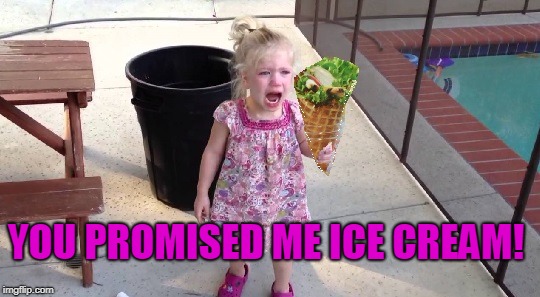 YOU PROMISED ME ICE CREAM! | image tagged in ice cream salad disaster | made w/ Imgflip meme maker