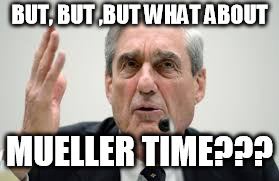 BUT, BUT ,BUT WHAT ABOUT; MUELLER TIME??? | image tagged in mueller | made w/ Imgflip meme maker