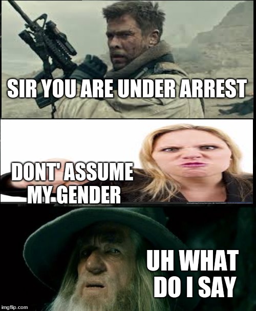 Don't assume my gender | SIR YOU ARE UNDER ARREST; DONT' ASSUME MY GENDER; UH WHAT DO I SAY | image tagged in confused gandalf | made w/ Imgflip meme maker