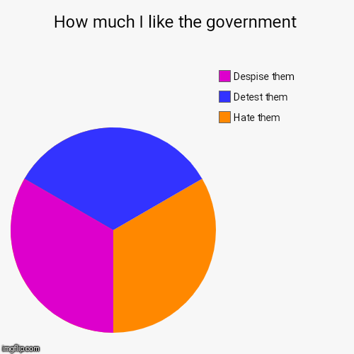 How much I like the government | Hate them, Detest them, Despise them | image tagged in funny,pie charts | made w/ Imgflip chart maker