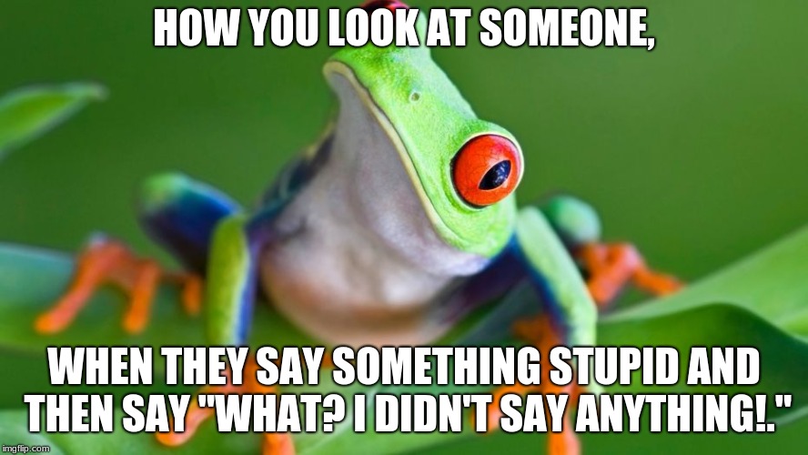 When they claim to have been silent | HOW YOU LOOK AT SOMEONE, WHEN THEY SAY SOMETHING STUPID AND THEN SAY "WHAT? I DIDN'T SAY ANYTHING!." | image tagged in frog,meme | made w/ Imgflip meme maker