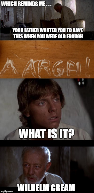 Star Wars Luke crying out for answers | WHICH REMINDS ME . . . YOUR FATHER WANTED YOU TO HAVE THIS WHEN YOU WERE OLD ENOUGH; WHAT IS IT? WILHELM CREAM | image tagged in star wars | made w/ Imgflip meme maker