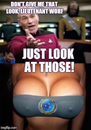 DON'T GIVE ME THAT LOOK, LIEUTENANT WORF; JUST LOOK AT THOSE! | image tagged in picard wtf boobs | made w/ Imgflip meme maker