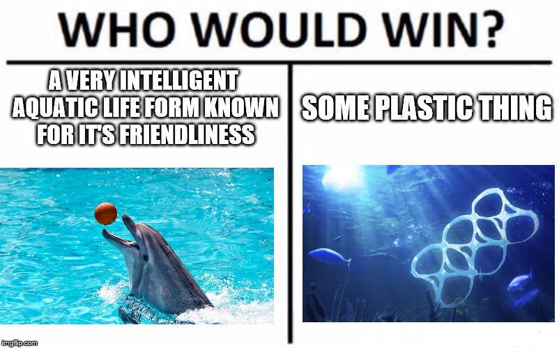 Who Would Win? | A VERY INTELLIGENT AQUATIC LIFE FORM KNOWN FOR IT'S FRIENDLINESS; SOME PLASTIC THING | image tagged in memes,who would win | made w/ Imgflip meme maker