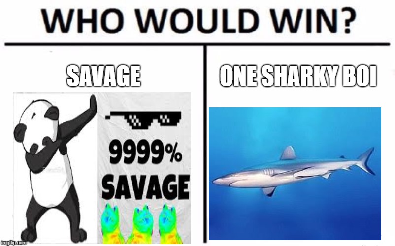 Savage vs. One sharky boi | SAVAGE; ONE SHARKY BOI | image tagged in memes,who would win | made w/ Imgflip meme maker