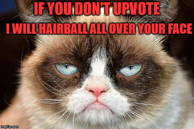 Grumpy Cat Not Amused Meme | IF YOU DON'T UPVOTE; I WILL HAIRBALL ALL OVER YOUR FACE | image tagged in memes,grumpy cat not amused,grumpy cat | made w/ Imgflip meme maker