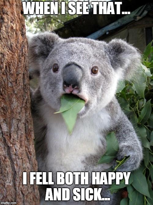 Surprised Koala Meme | WHEN I SEE THAT... I FELL BOTH HAPPY AND SICK... | image tagged in memes,surprised koala | made w/ Imgflip meme maker
