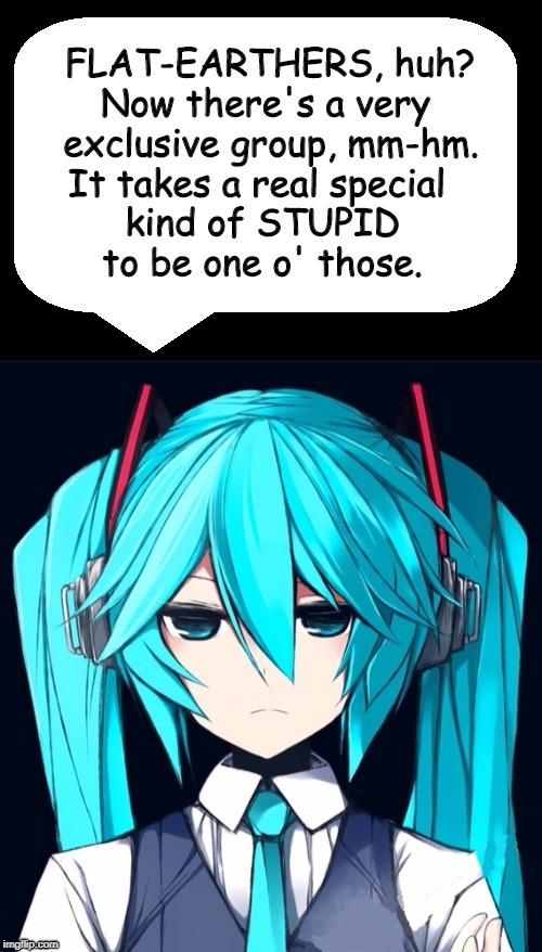 Flat-Earthers are a special kind of STUPID | FLAT-EARTHERS, huh? It takes a real special kind of STUPID to be one o' those. Now there's a very exclusive group, mm-hm. | image tagged in flat earthers,special kind of stupid,hatsune miku,vocaloid,anime | made w/ Imgflip meme maker