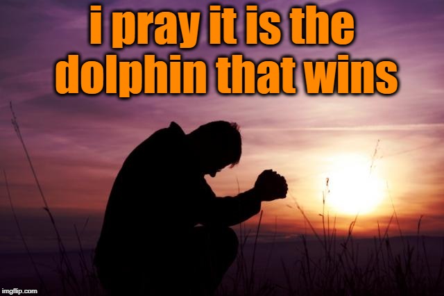 Pray | i pray it is the dolphin that wins | image tagged in pray | made w/ Imgflip meme maker