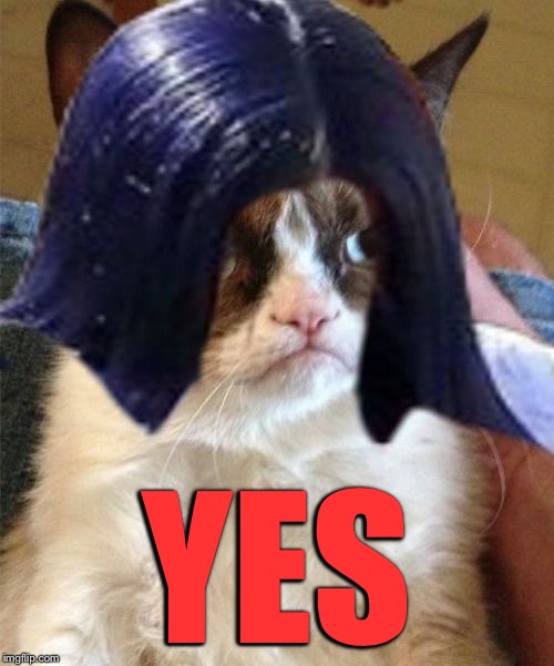 Grumpy doMima (flipped) | YES | image tagged in grumpy domima flipped | made w/ Imgflip meme maker