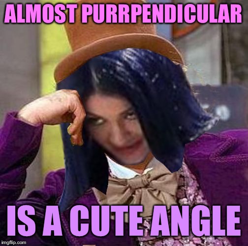 Creepy Condescending Mima | ALMOST PURRPENDICULAR IS A CUTE ANGLE | image tagged in creepy condescending mima | made w/ Imgflip meme maker