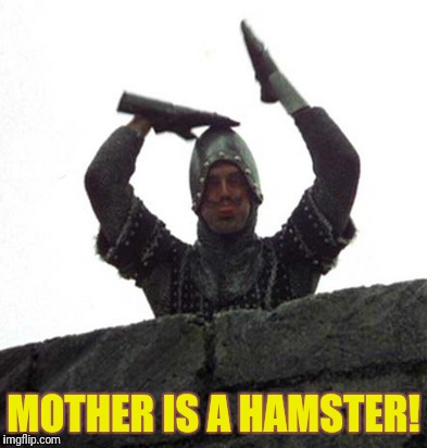 MOTHER IS A HAMSTER! | made w/ Imgflip meme maker