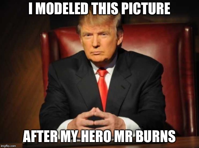 Trump | I MODELED THIS PICTURE AFTER MY HERO MR BURNS | image tagged in trump | made w/ Imgflip meme maker