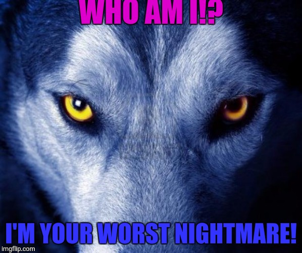 wolf | WHO AM I!? I'M YOUR WORST NIGHTMARE! | image tagged in wolf | made w/ Imgflip meme maker