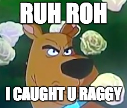 Ruh Roh R.I.P | RUH ROH; I CAUGHT U RAGGY | image tagged in memes,scooby doo | made w/ Imgflip meme maker