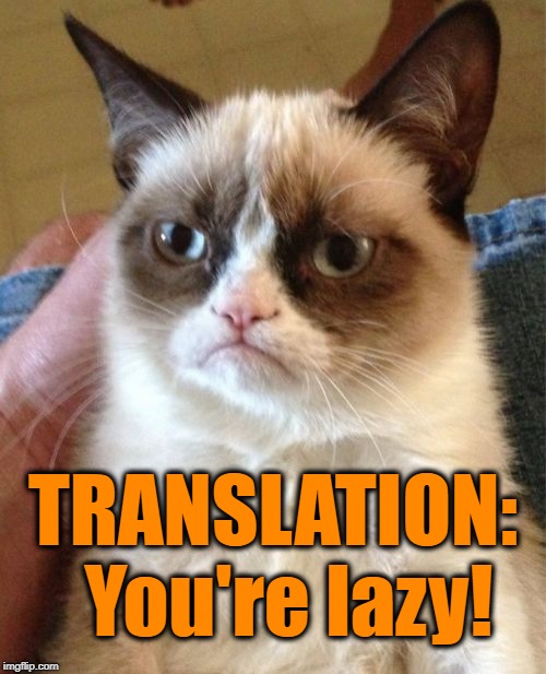 Grumpy Cat Meme | TRANSLATION:  You're lazy! | image tagged in memes,grumpy cat | made w/ Imgflip meme maker