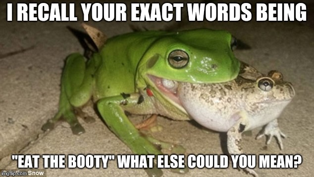 Eating the booty irl | I RECALL YOUR EXACT WORDS BEING; "EAT THE BOOTY" WHAT ELSE COULD YOU MEAN? | image tagged in frog | made w/ Imgflip meme maker