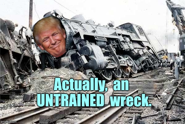 Trump is NOT a Train Wreck! | Actually,  an  UNTRAINED  wreck. | image tagged in trump train wreck,memes,donald trump | made w/ Imgflip meme maker