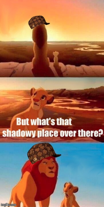 Simba Shadowy Place | image tagged in memes,simba shadowy place,scumbag | made w/ Imgflip meme maker