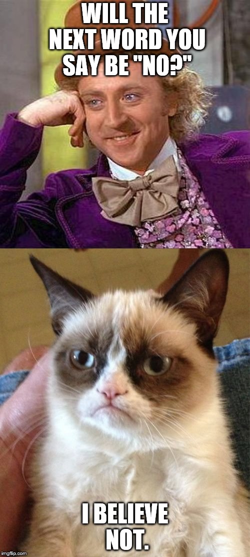 Defying Paradoxes | WILL THE NEXT WORD YOU SAY BE "NO?"; I BELIEVE NOT. | image tagged in grumpy cat,paradox | made w/ Imgflip meme maker
