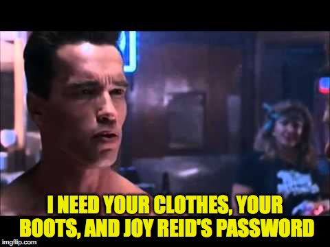How that blog got hacked | I NEED YOUR CLOTHES, YOUR BOOTS, AND JOY REID'S PASSWORD | image tagged in terminator i need your clothes | made w/ Imgflip meme maker