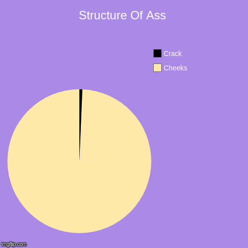 Structure Of Ass | Structure Of Ass | Cheeks, Crack | image tagged in funny,pie charts,ass | made w/ Imgflip chart maker