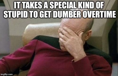 Captain Picard Facepalm Meme | IT TAKES A SPECIAL KIND OF STUPID TO GET DUMBER OVERTIME | image tagged in memes,captain picard facepalm | made w/ Imgflip meme maker