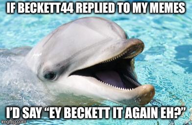 Beckett it again BWEBBITY BWEBY BWEB | IF BECKETT44 REPLIED TO MY MEMES; I’D SAY “EY BECKETT IT AGAIN EH?” | image tagged in dumb joke dolphin,puns,memes,beckett44 | made w/ Imgflip meme maker