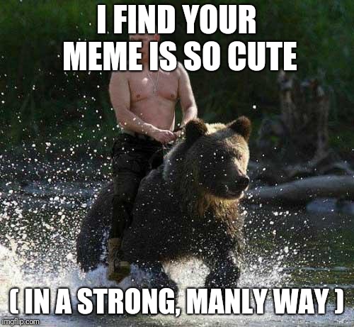 Putin Thats Cute | I FIND YOUR MEME IS SO CUTE; ( IN A STRONG, MANLY WAY ) | image tagged in putin thats cute | made w/ Imgflip meme maker