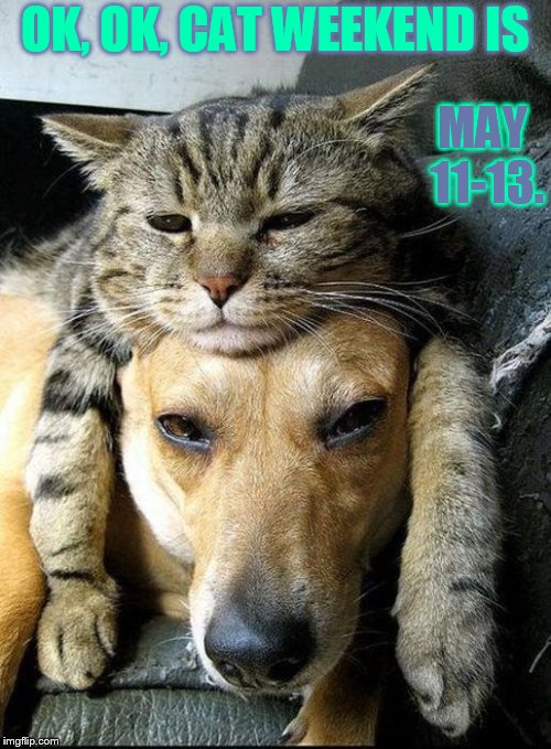 OK, OK, CAT WEEKEND IS MAY 11-13. | made w/ Imgflip meme maker