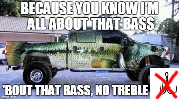 that bass | BECAUSE YOU KNOW I'M ALL ABOUT THAT BASS; 'BOUT THAT BASS, NO TREBLE | image tagged in all about that bass,bass,fishing | made w/ Imgflip meme maker