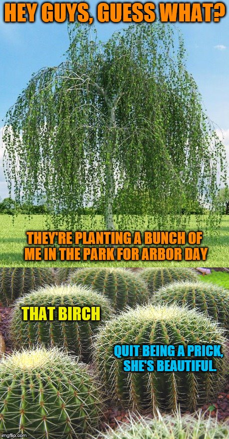 Happy Arbor Day! | HEY GUYS, GUESS WHAT? THEY'RE PLANTING A BUNCH OF ME IN THE PARK FOR ARBOR DAY; THAT BIRCH; QUIT BEING A PRICK, SHE'S BEAUTIFUL. | image tagged in memes,arbor day | made w/ Imgflip meme maker