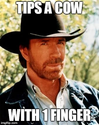 Chuck Norris Meme | TIPS A COW; WITH 1 FINGER | image tagged in memes,chuck norris | made w/ Imgflip meme maker