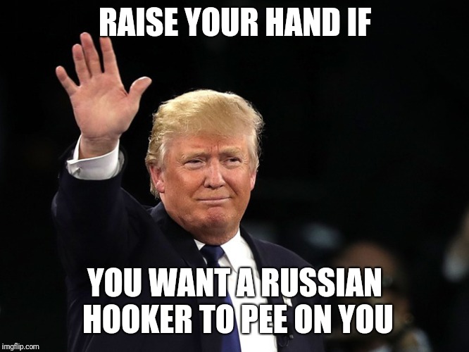 Trump Raising Hand | RAISE YOUR HAND IF; YOU WANT A RUSSIAN HOOKER TO PEE ON YOU | image tagged in trump raising hand | made w/ Imgflip meme maker