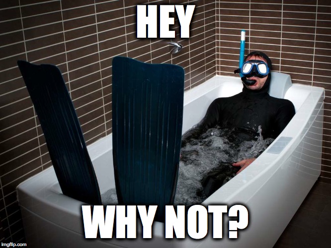 bathtub scuba | HEY WHY NOT? | image tagged in bathtub scuba | made w/ Imgflip meme maker