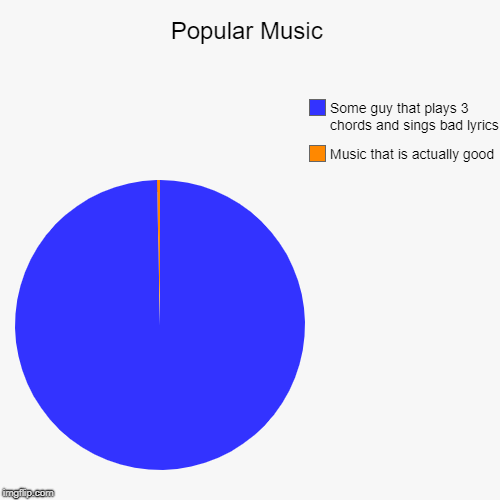 Popular Music | Music that is actually good, Some guy that plays 3 chords and sings bad lyrics | image tagged in funny,pie charts | made w/ Imgflip chart maker