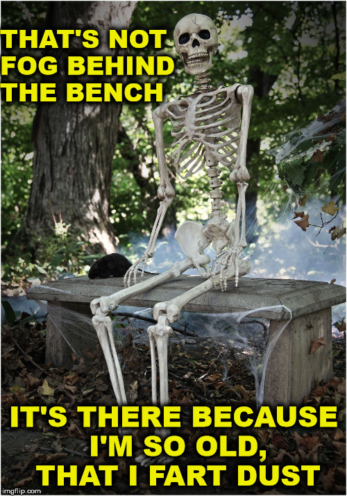 Thanks to Allniter for letting me use this idea | THAT'S NOT FOG BEHIND THE BENCH; IT'S THERE BECAUSE I'M SO OLD, THAT I FART DUST | image tagged in old age,skeleton,farts | made w/ Imgflip meme maker