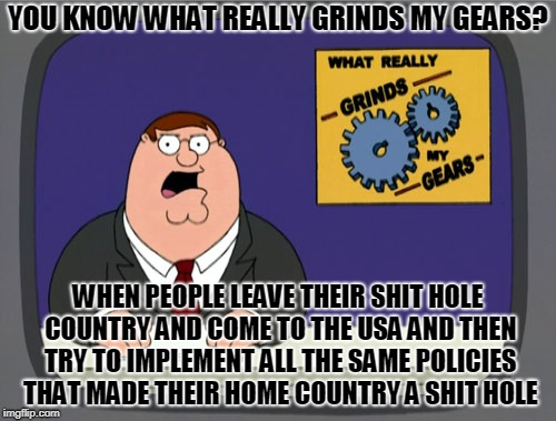 Peter Griffin News Meme | YOU KNOW WHAT REALLY GRINDS MY GEARS? WHEN PEOPLE LEAVE THEIR SHIT HOLE COUNTRY AND COME TO THE USA AND THEN TRY TO IMPLEMENT ALL THE SAME POLICIES THAT MADE THEIR HOME COUNTRY A SHIT HOLE | image tagged in memes,peter griffin news | made w/ Imgflip meme maker