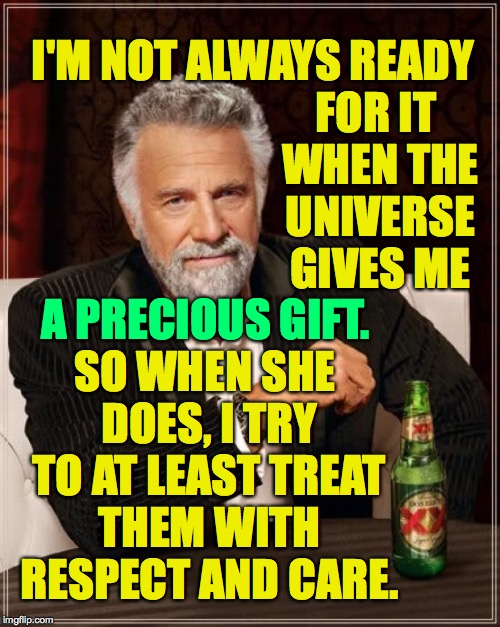 People are precious. | I'M NOT ALWAYS READY; FOR IT WHEN THE UNIVERSE GIVES ME; SO WHEN SHE DOES, I TRY TO AT LEAST TREAT THEM WITH RESPECT AND CARE. A PRECIOUS GIFT. | image tagged in memes,the most interesting man in the world,people | made w/ Imgflip meme maker