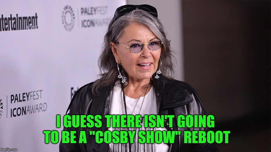Limits on rebooting shows | I GUESS THERE ISN'T GOING TO BE A "COSBY SHOW" REBOOT | image tagged in roseanne barr,bill cosby,pipe_picasso,reboot | made w/ Imgflip meme maker