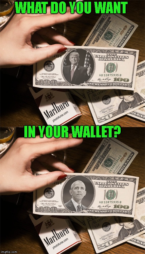 Who Do You Want In Your Pocket? | WHAT DO YOU WANT; IN YOUR WALLET? | image tagged in obama,trump,donald trump,barak obama,money,cash | made w/ Imgflip meme maker