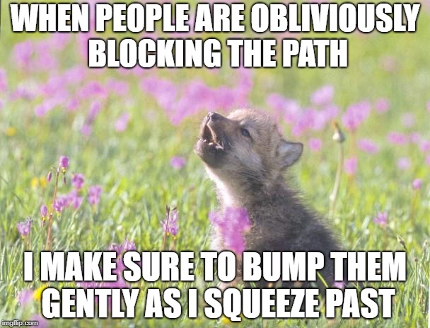 Baby Insanity Wolf Meme | WHEN PEOPLE ARE OBLIVIOUSLY BLOCKING THE PATH; I MAKE SURE TO BUMP THEM GENTLY AS I SQUEEZE PAST | image tagged in memes,baby insanity wolf,AdviceAnimals | made w/ Imgflip meme maker