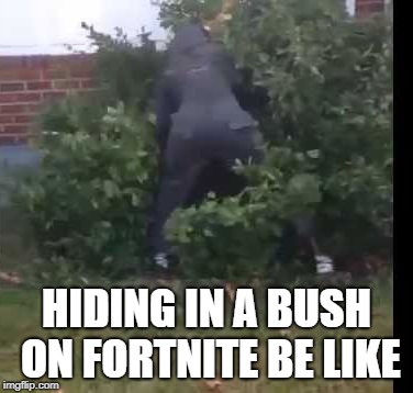 fortnit bush | HIDING IN A BUSH ON FORTNITE BE LIKE | image tagged in fortnit bush | made w/ Imgflip meme maker